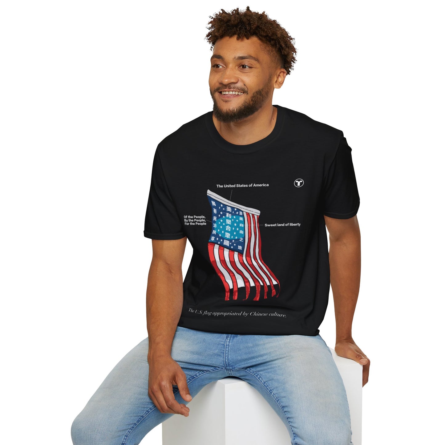 "US flag appropriated"- T-Shirt