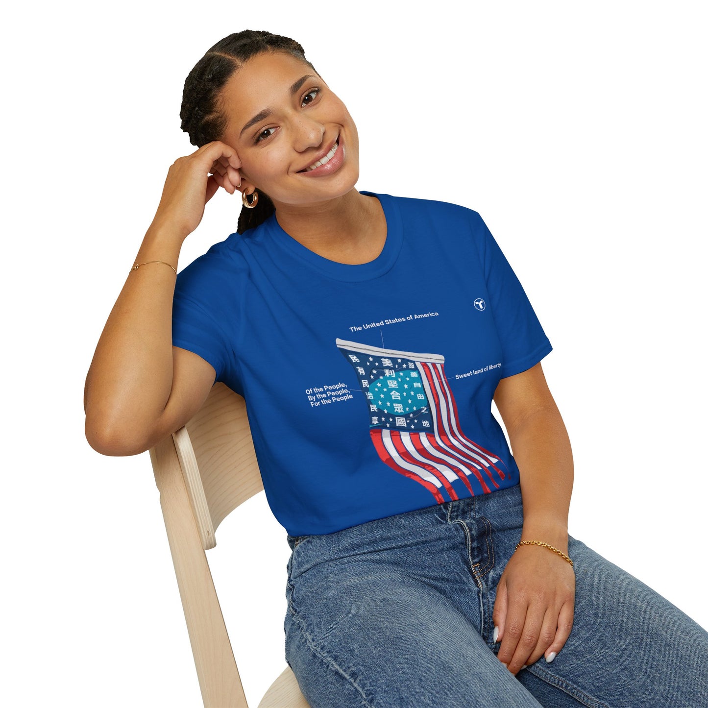 "US flag appropriated"- T-Shirt